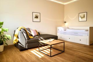 zentrumsnahe Leipzig-Apartments, nahe UFZ und BMW inkl Parkplatz und Fahrräder - Leipzig - 3