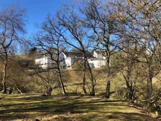 Ferienhaus Rehblick - Rockeskyll - 3