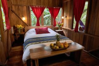 Casa Divina Eco Lodge - Mindo - 6