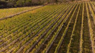 Villa Triacca Hotel Vinícola & Spa - 4