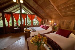 Casa Divina Eco Lodge - Mindo - 1