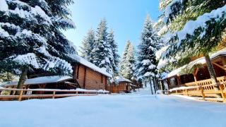 Gostynniy Dvir in Forest Коттеджи - 6