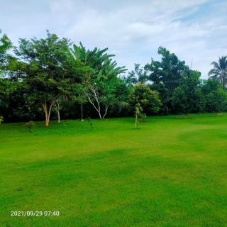 Davy Cottage Phuket - Ban Riang - 4