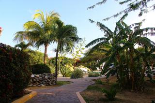 Camacuri Apartments - Oranjestad - 8
