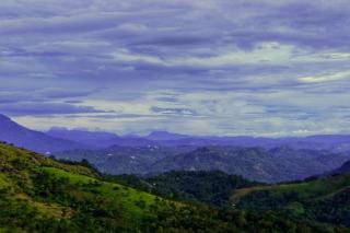 Wild Mist Homestay - Munnar - 4