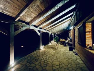 Chata nad Dziką Orlicą z jacuzzi - 2