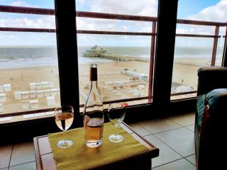 Beachview Pier Blankenberge - 8