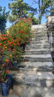 Nanda View Cottage - Almora - 7