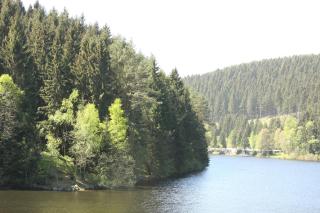 Harz-Sonne 2 - Altenau - 2