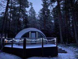 Pokemaja Nõva männimetsas - 6