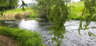 Spring Creek Holiday Park - Blenheim - 1