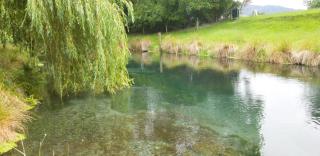 Spring Creek Holiday Park - Blenheim - 5