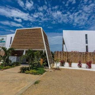 Palmeras de bocapan - 1