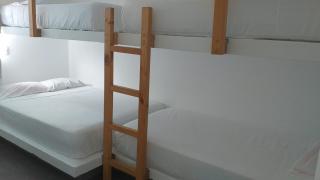 Palmeras de bocapan - Bocapán - 7