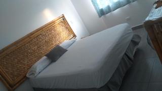 Palmeras de bocapan - 8