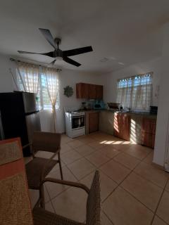 Aguadilla Waves Apt Free Parking & Wifi 8 minute walk from Crashboat beach - 1