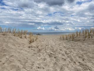 Sophie - Ueckermünde - 1