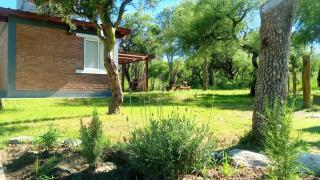 Los Tres Algarrobos - Cortaderas - 4