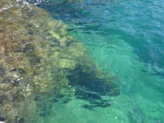 Estivado Sea View - Mer à 50 m et Piscine avec Spa - Cassis - 5