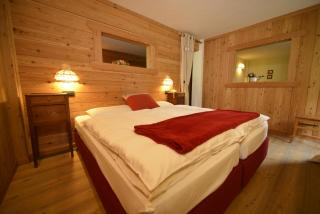Albergo Alpenrose Ski&Bike Mountain Hotel - Gressoney-Saint-Jean - 9