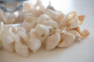 Picnic Rock Seaside Accommodation - 5