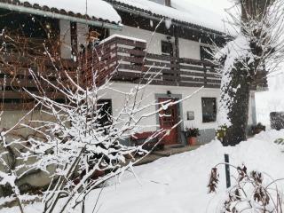 Apartma Pr Gatej - Bohinj - 9