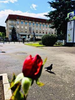 HOTEL MUNTENIA - Câmpina - 2