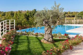 Villa Blanche by ILC (Istria Luxury Collection) - Brtonigla - 2