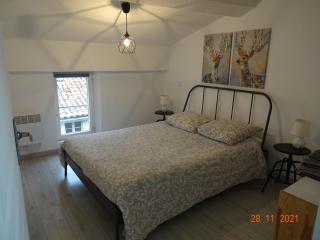 Appartement "Sacha" au calme en Hypercentre de Revel - Revel - 4