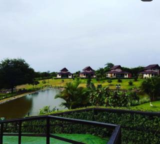 Winterville Flats Gravatá - 7