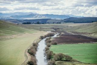 Graceland Farm - Underberg - 9