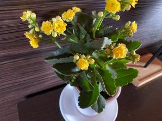 Da Fang Hua Yuan Xiao Homestay - 2