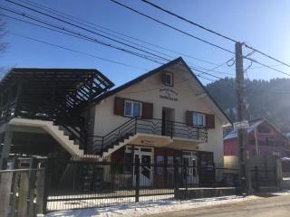 Pensiunea Morosanu - Borşa - 8