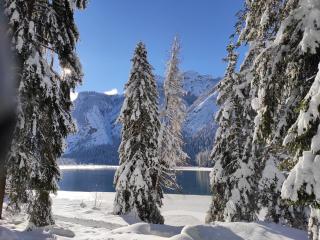 Hotel Weisses Lamm - Monguelfo - 1