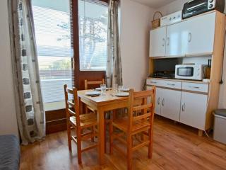 Studio cosy avec balcon, 3 places, au pied des pistes à Chamrousse - FR-1-340-124 - 0