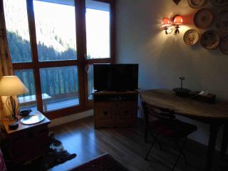 Charmant studio 4 pers près des pistes avec balcon et animaux admis - FR-1-561-54 - Modane - 6