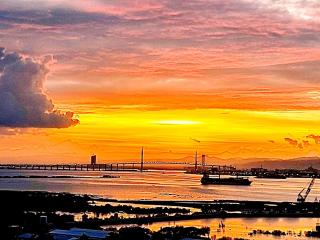 BH Mangrove Condos - Mactan - 5