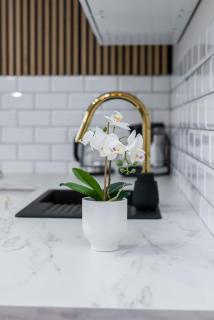 Modern Studio Apartments Poznań City Center by Noclegi Renters - Poznań - 2