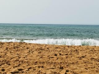 Orizzonte Templi Selinunte - Triscina - 2