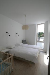 Miško Apartamentai - Juodkrantė - 7