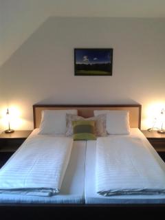 Wellness Hotel Svachovka - Český Krumlov - 4