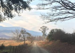 Rockwood Karkloof Forest Lodge & Mountain Cabin - Karkloof Nature Reserve - 8