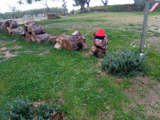 Romegosa Benestar - 8