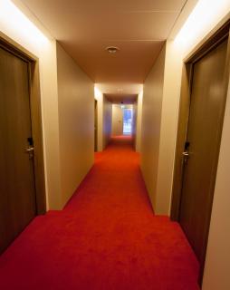 Hotel Vestmannaeyjar - Vestmannaeyjar - 4