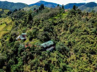 Finca Petrona - Mindo - 7
