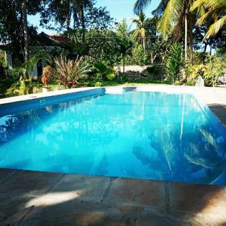 Cycad Palm Diani - Diani Beach - 1