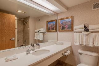 Grand Lodge Condo in the Heart of Mt Crested Butte condo - 5
