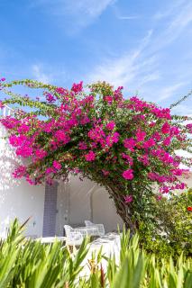 Akrotiri Hotel - Parikia - 1