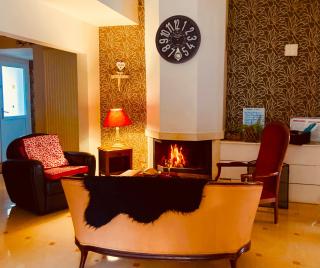 Lilly bulles en Champagne piscine et jardin privée - 8