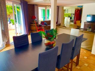 Lilly bulles en Champagne piscine et jardin privée - 4